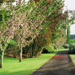Hamurana Lodge