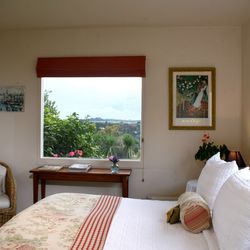 Bed Of Roses