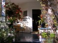 Shelbourne Villa