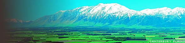 Experience boutique accommodation in New Zealand NZ with Heritage & Character Inns