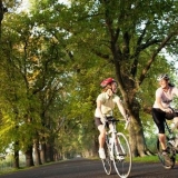 cyclists