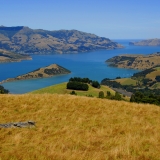 New Zealand Banks Peninsular Akaroa