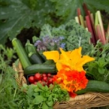 Church Hill Lodge-0268 Garden Harvest - Copy