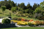 High Leys Lodge garden 2