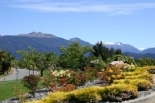 IMG_7388 (3)