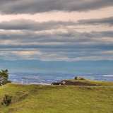 havelocknorth_hawkes_bay