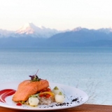 Salmon