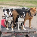 tailing_006