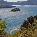 mabel-island-picton-harbour