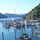 picton-waterfront