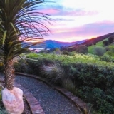 garden path