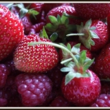 strawberry & raspberry