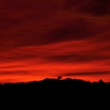sunset-over-victoria-domain-1-6-04