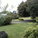 IMG1202 (1)