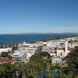 napier