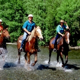Horse trekking in water