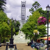 nelson-trafalgar-street
