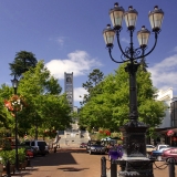 Nelson Cathedral