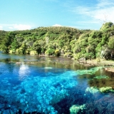 Te Waikoropupu Springs _ Pupu Springs, Golden Bay