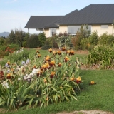 The flower gardens