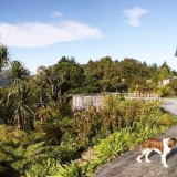 rimu-lodge-hokitika