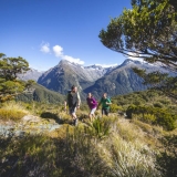 8678-Routeburn-Track-Fiordland-Miles-Holden
