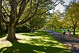 Cycling 5