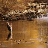 Southland is world renowned for its brown trout fly fishing
