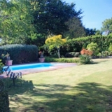tairoa_lodge-garden