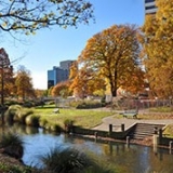 chch-266x178
