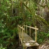 grounds - bridge