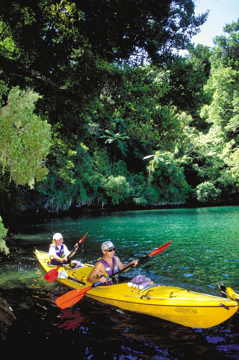 Local Sea Kayaking