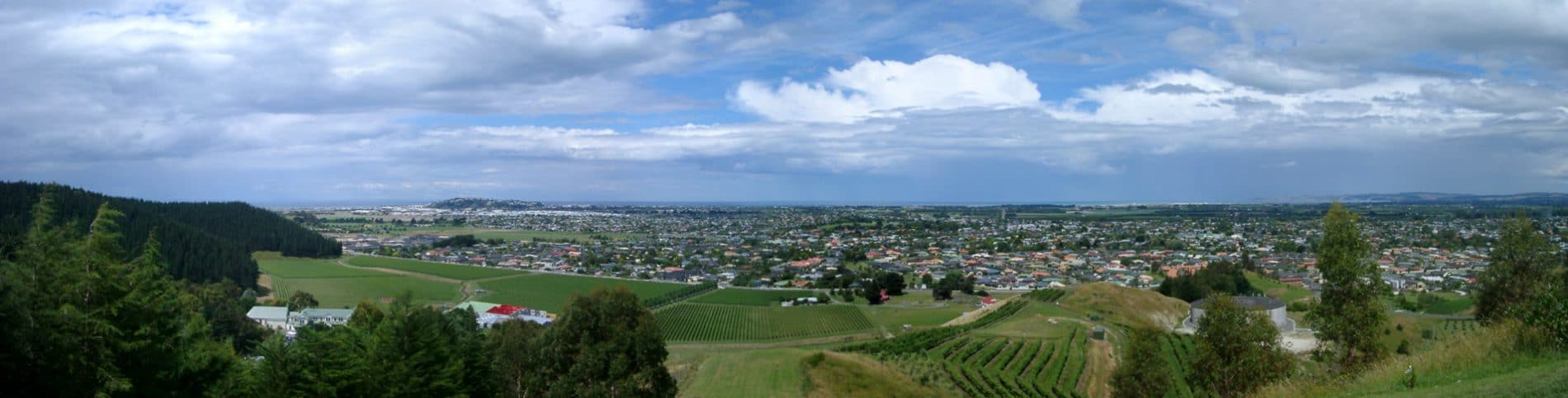 Napier_New_Zealand_from_Sugar_Loaf_hill