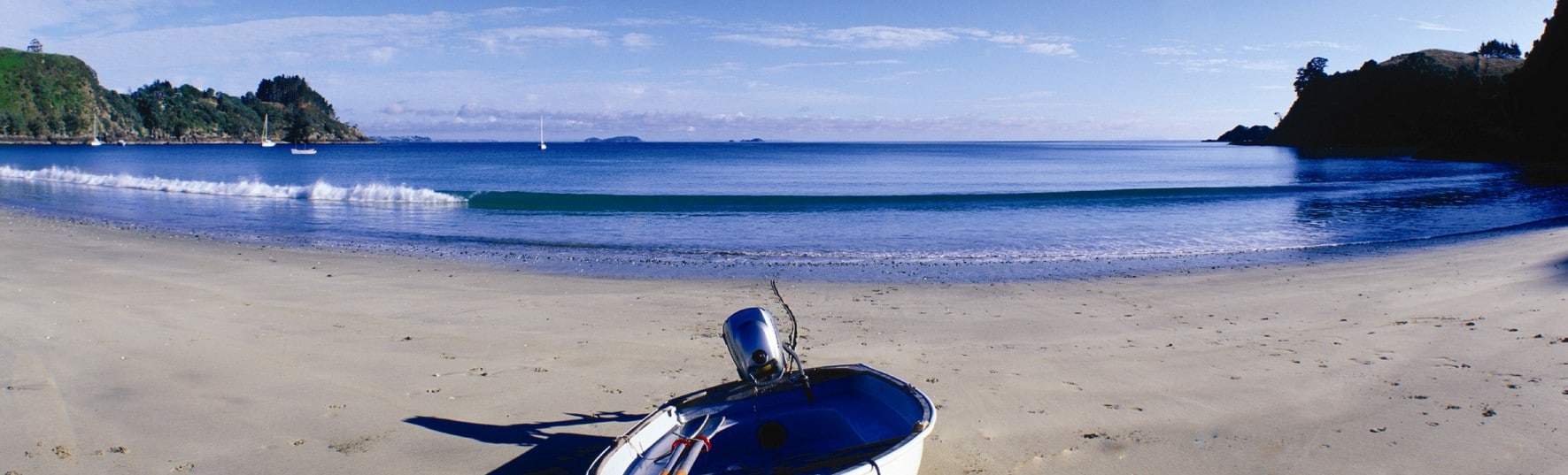 Palm-Beach-Waiheke-Island_64843