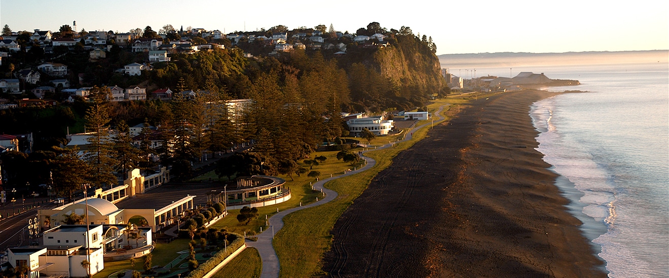 Napier_Banner