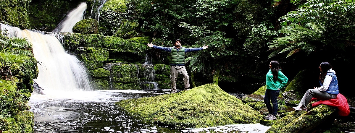 McLean-Falls