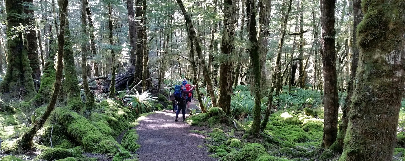 Walking-the-Kepler-Track-wide